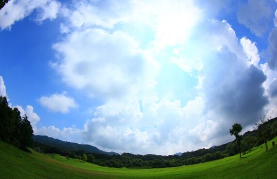 佐賀県武雄市で蜂の巣駆除でお困りなら幸栄企画へご相談ください。