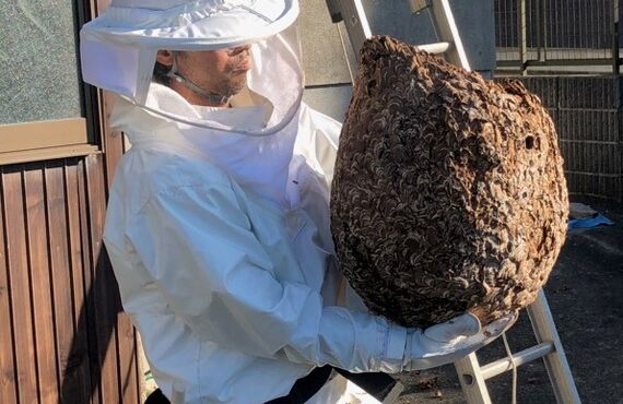 唐津市厳木町で蜂の巣駆除のご相談は佐賀県業者の幸栄企画へお電話下さい。