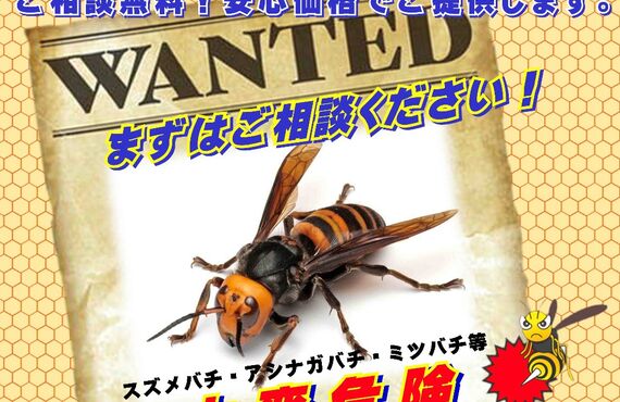 蜂駆除業者を佐賀でお探しなら多久の害虫駆除専門の幸栄企画へお任せください！