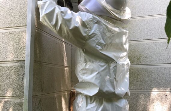 杵島郡江北町で蜂駆除業者をお探しなら県内企業の幸栄企画へお電話下さい。